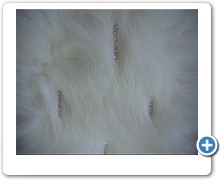collection 4 strass drops of fox